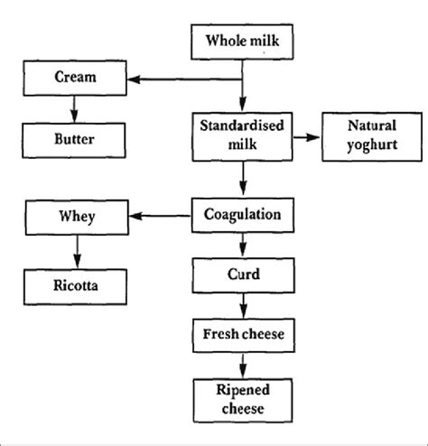 The Role of Spoob Lactose in Modern Medicine